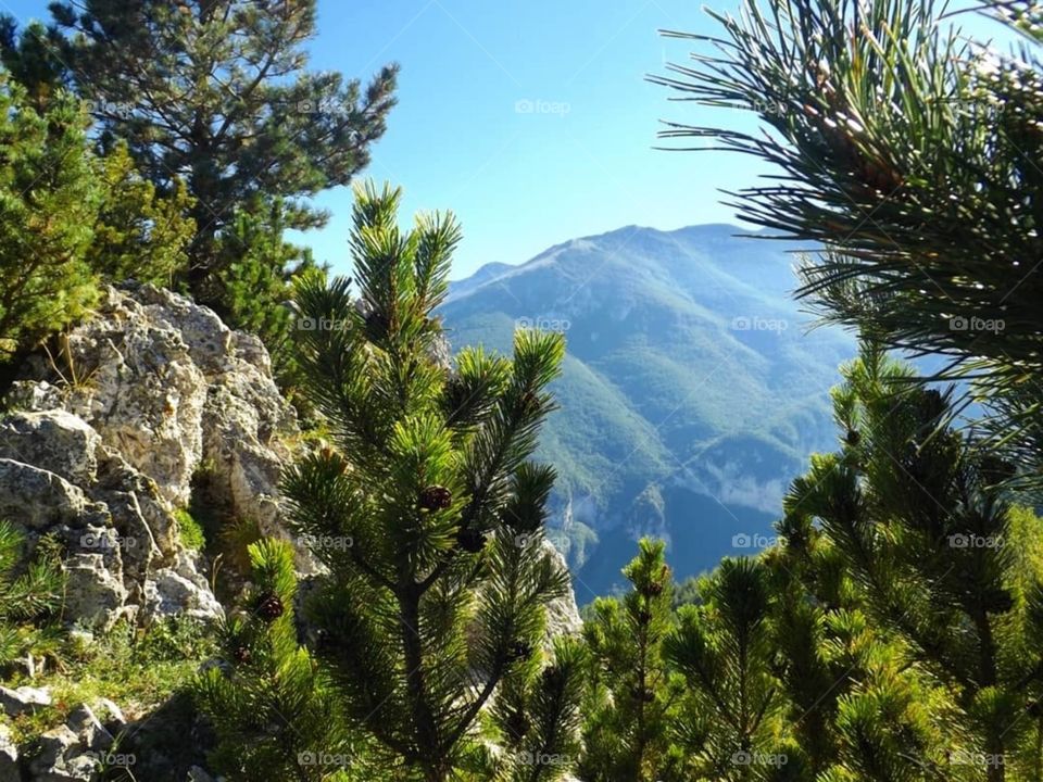 #nature #green #air #colours