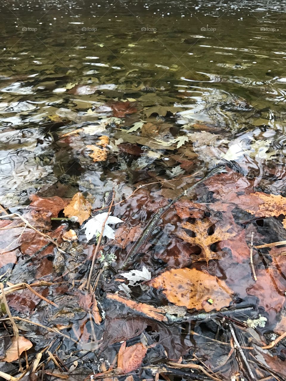 the water even looks cold