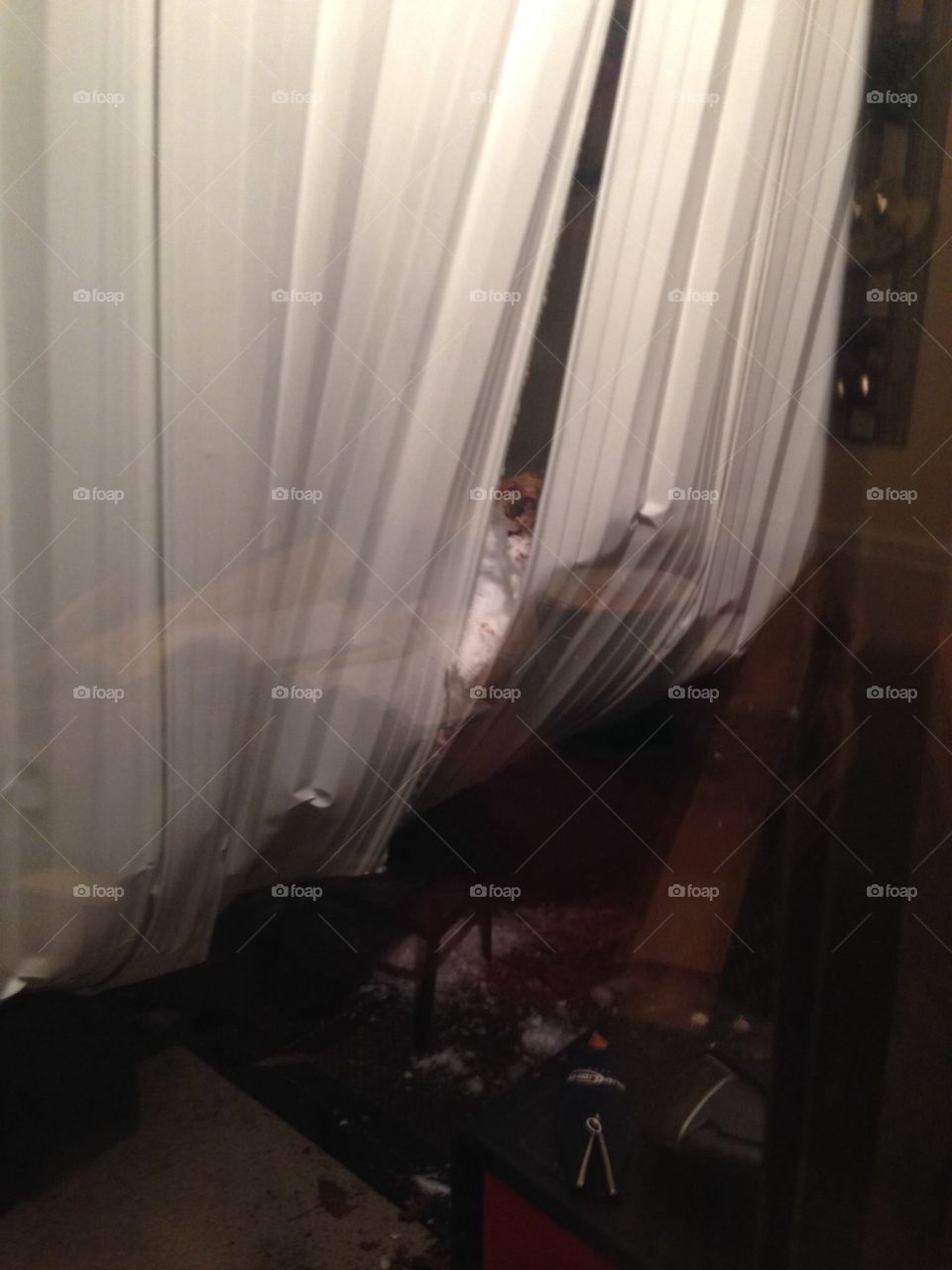 Room, Light, Indoors, No Person, Museum