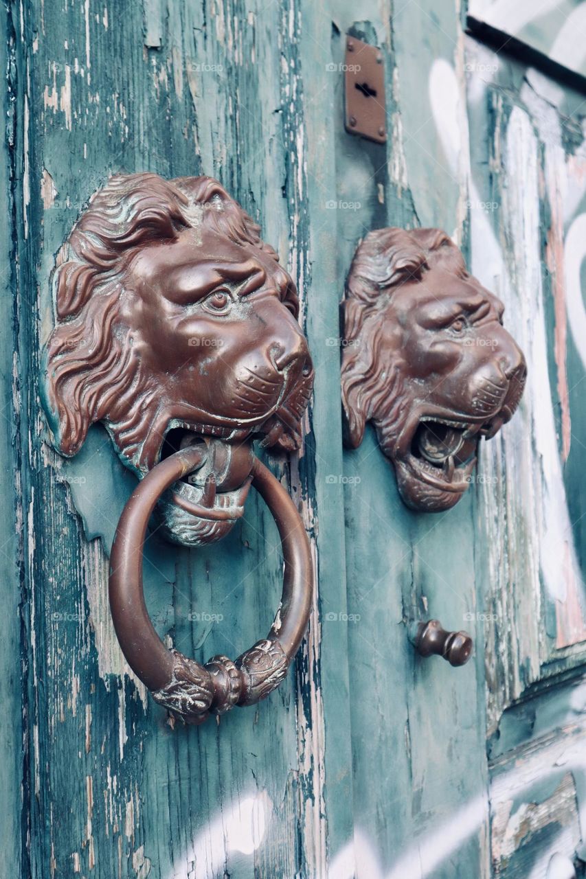 An old vintage doors and lions