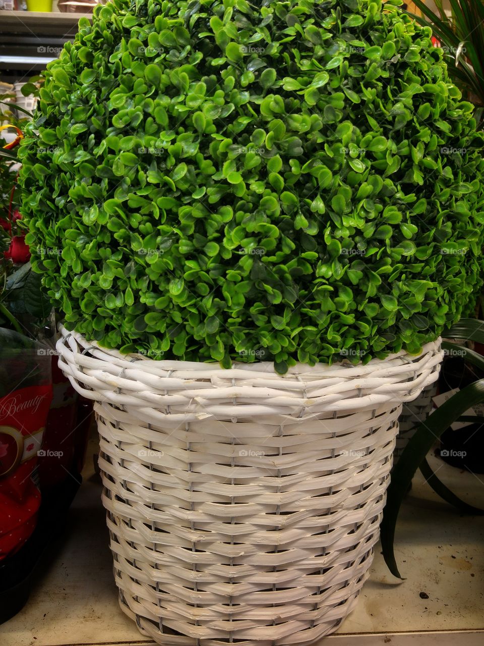 What the pots contain