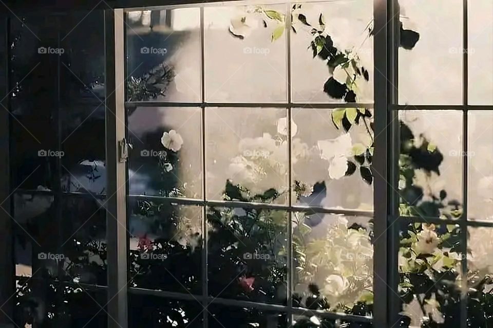 A very beautiful picture, and there is no better picture than it. There is no better picture of green herbs and colorful, red and white roses than it. Glory be to God, the natural and picturesque view, and there is no more wonderful picture than it.