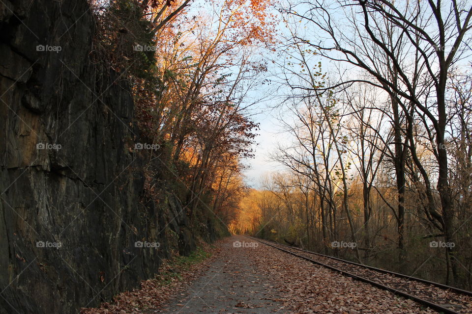 A crisp autumn day at the rail trail.
