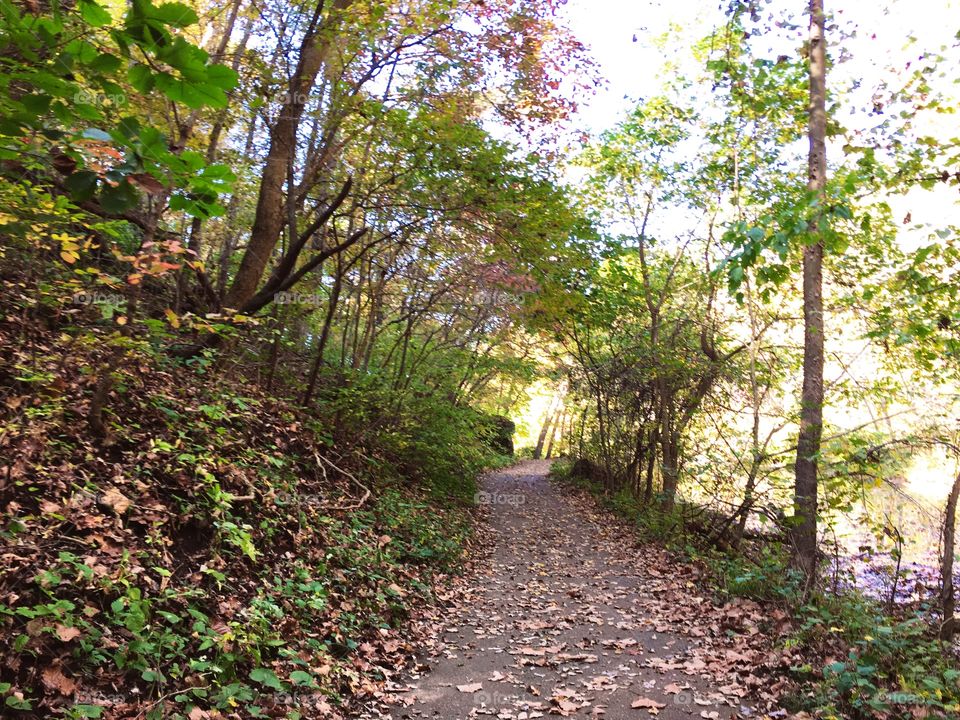 Autumn pathway