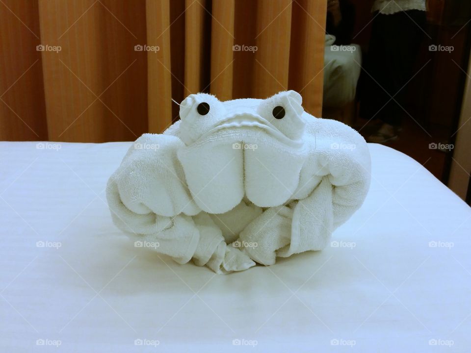 Carnival Cruise - Towel Critters