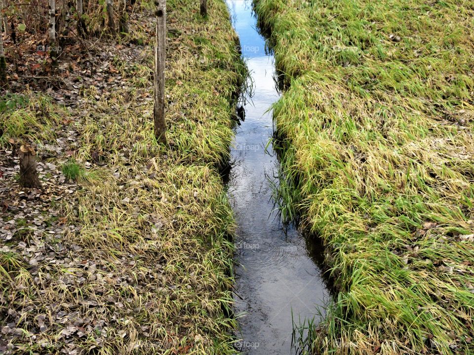 closeup of stream
