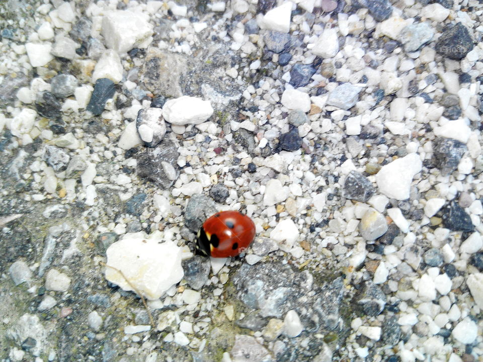 No Person, Nature, Outdoors, Little, Stone