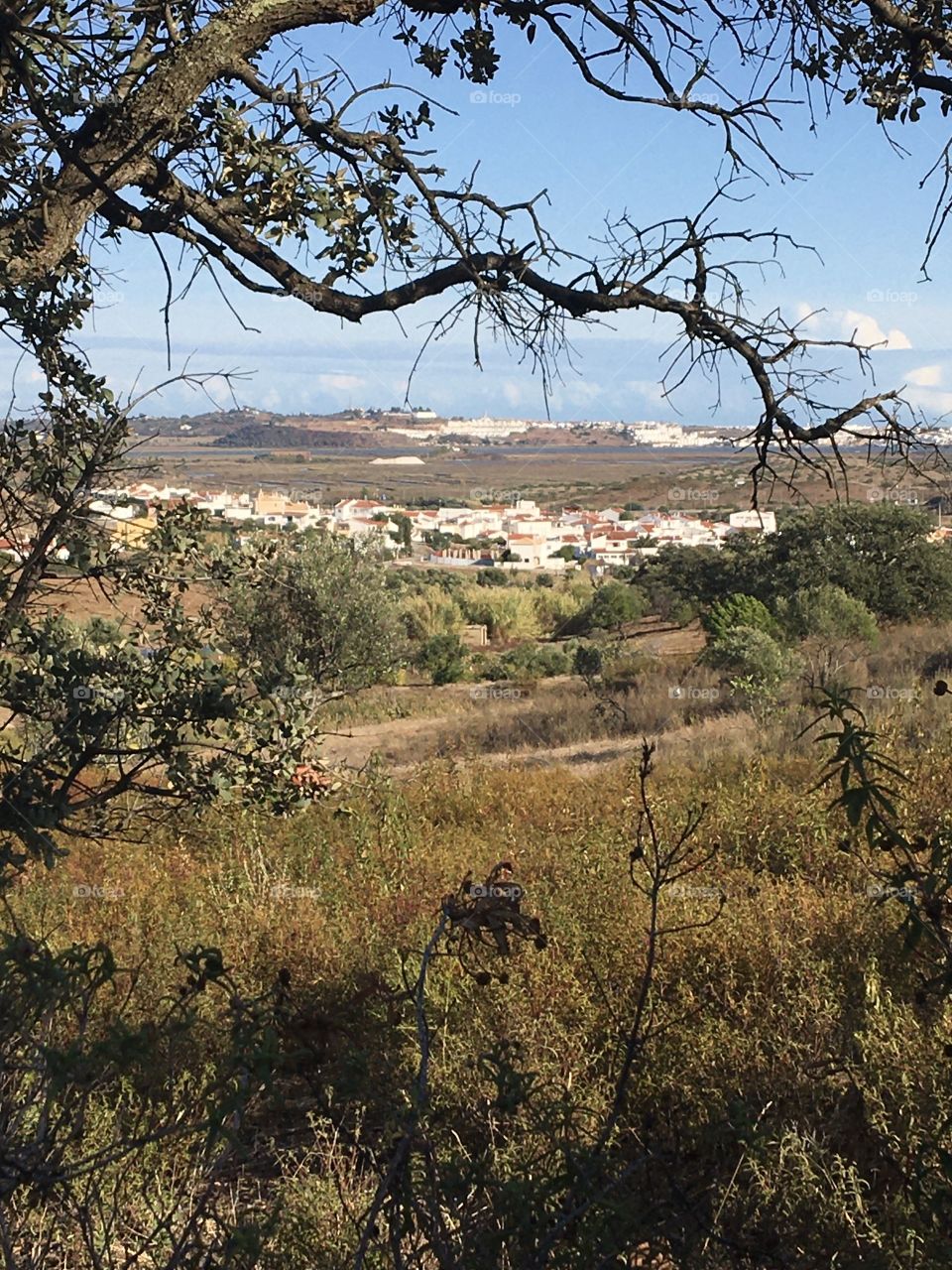 Village in landscape 