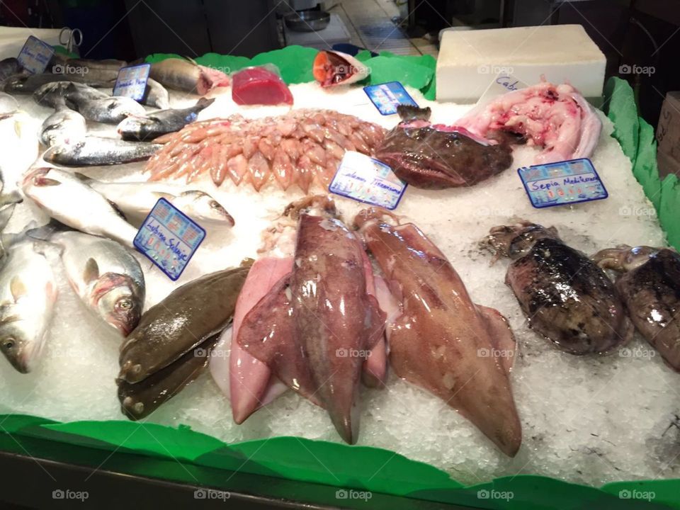 Barcelona fish market