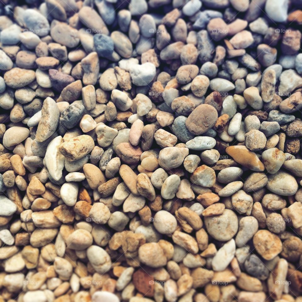 Rocks. The shore of the beach...