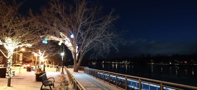 winter embankment with trees and decorations