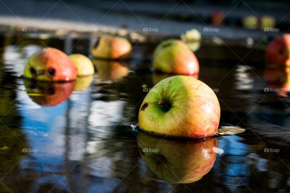 Apple puddles 