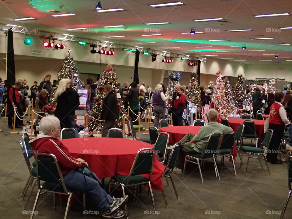 Tables full of people amongst the trees at a Christmas tree decoration event for charity. 