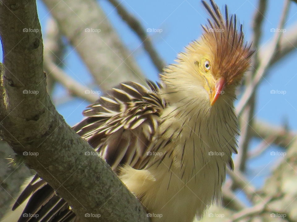 deslumbrada com a confiança!