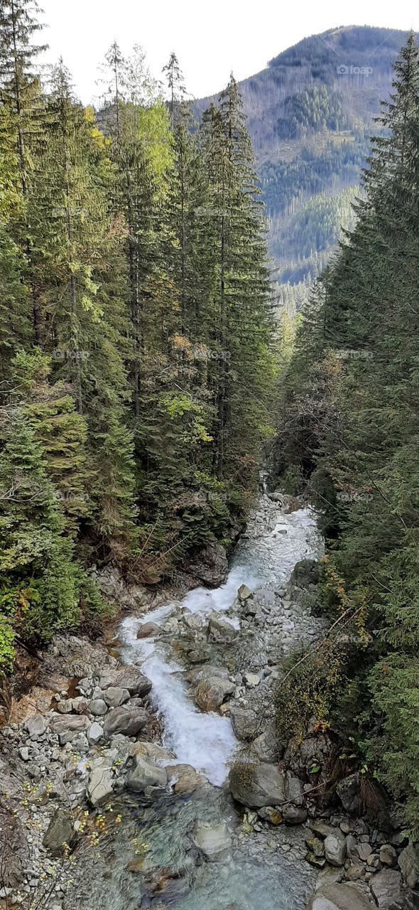 stream in the mountains