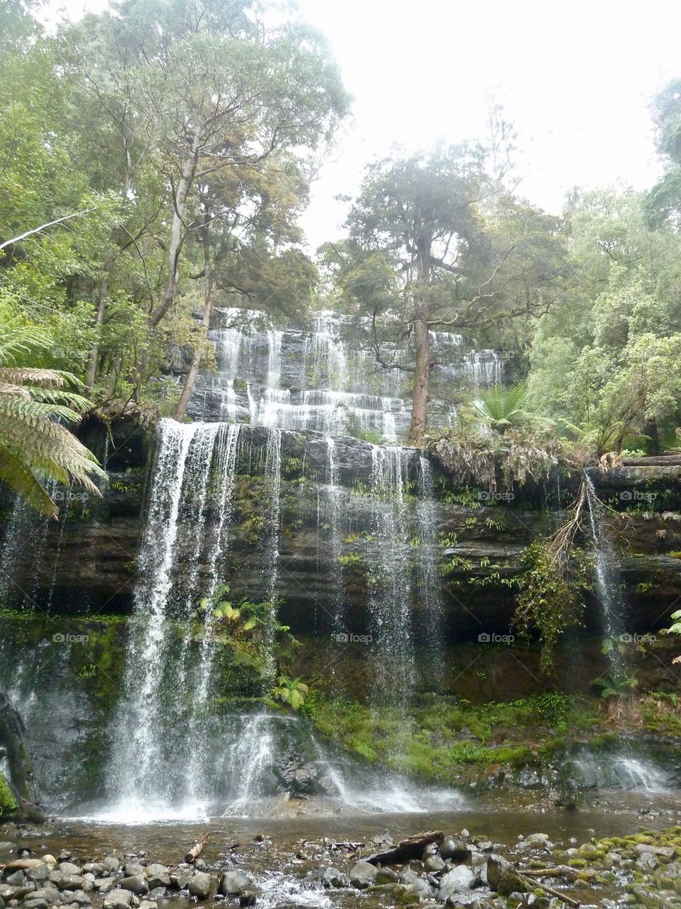 Beautiful tasmania 