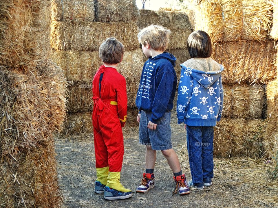 Young Boys On The Farm
