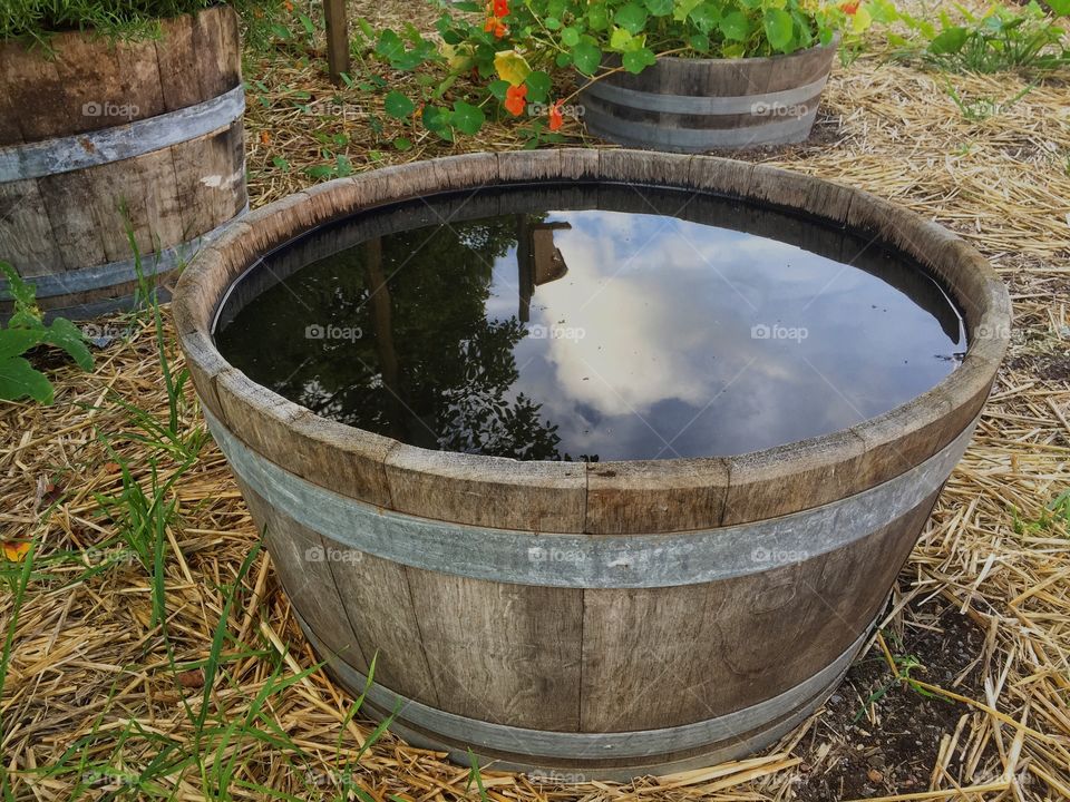 Reflection in barrel filled with water