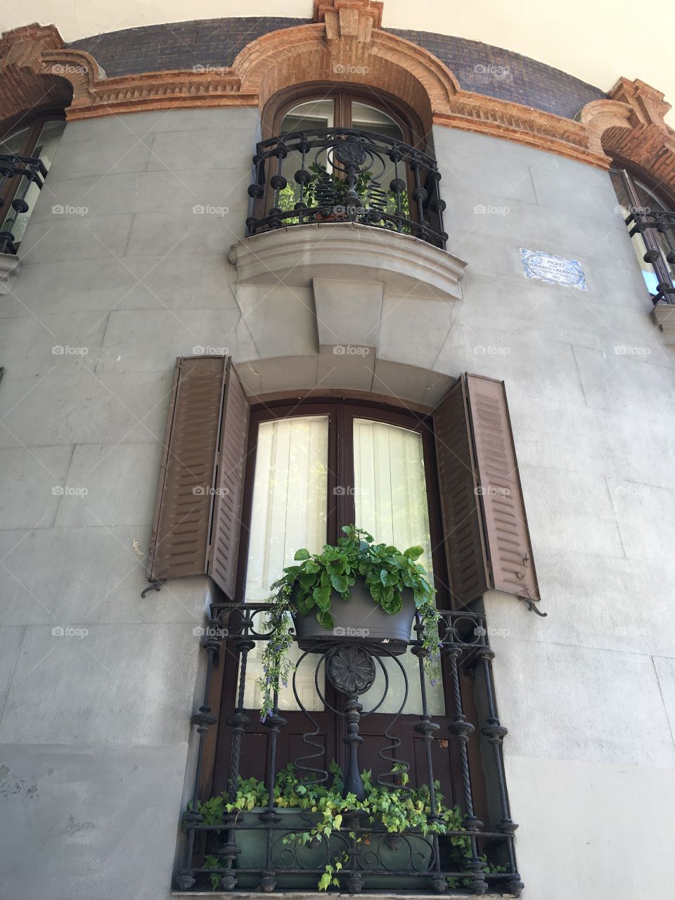 Windows of Madrid 
