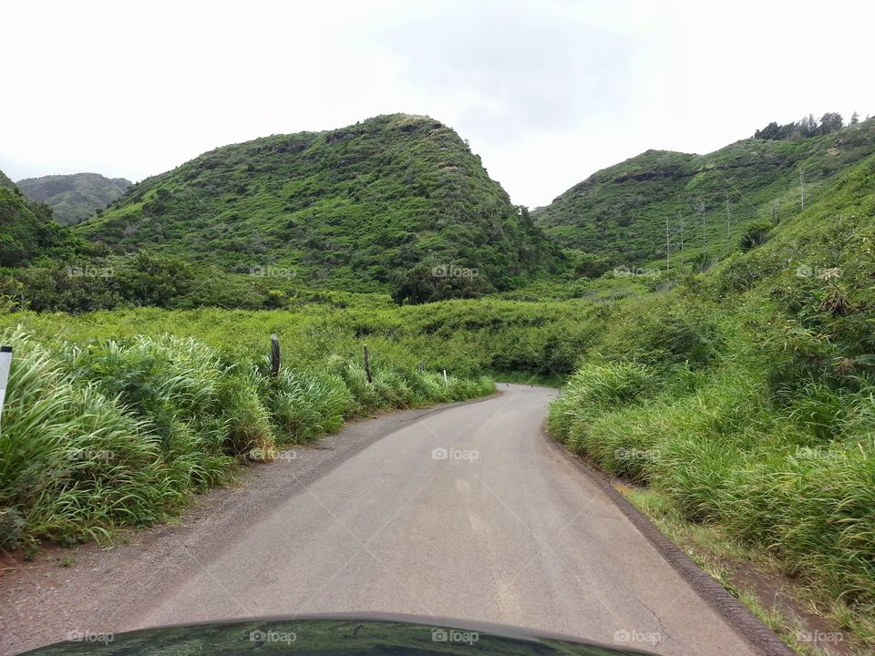 Winding road. Winding road on Maui.
