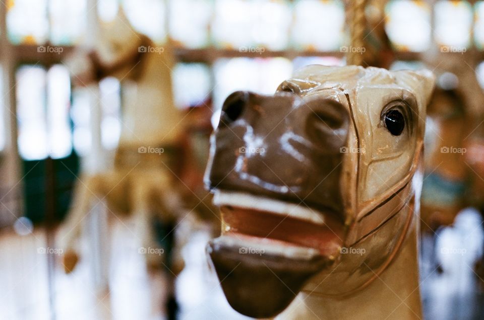 Carousel horse close up