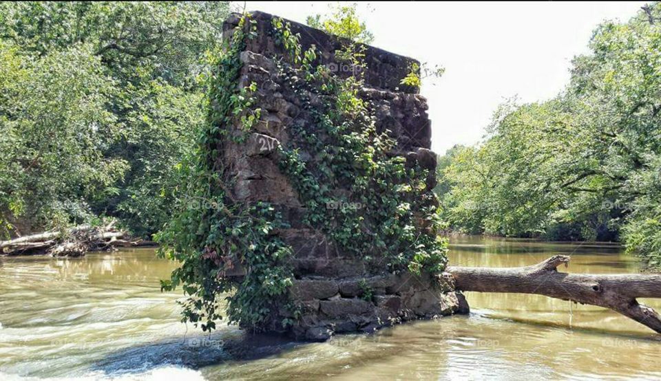 Vines on old brick bridge pillar