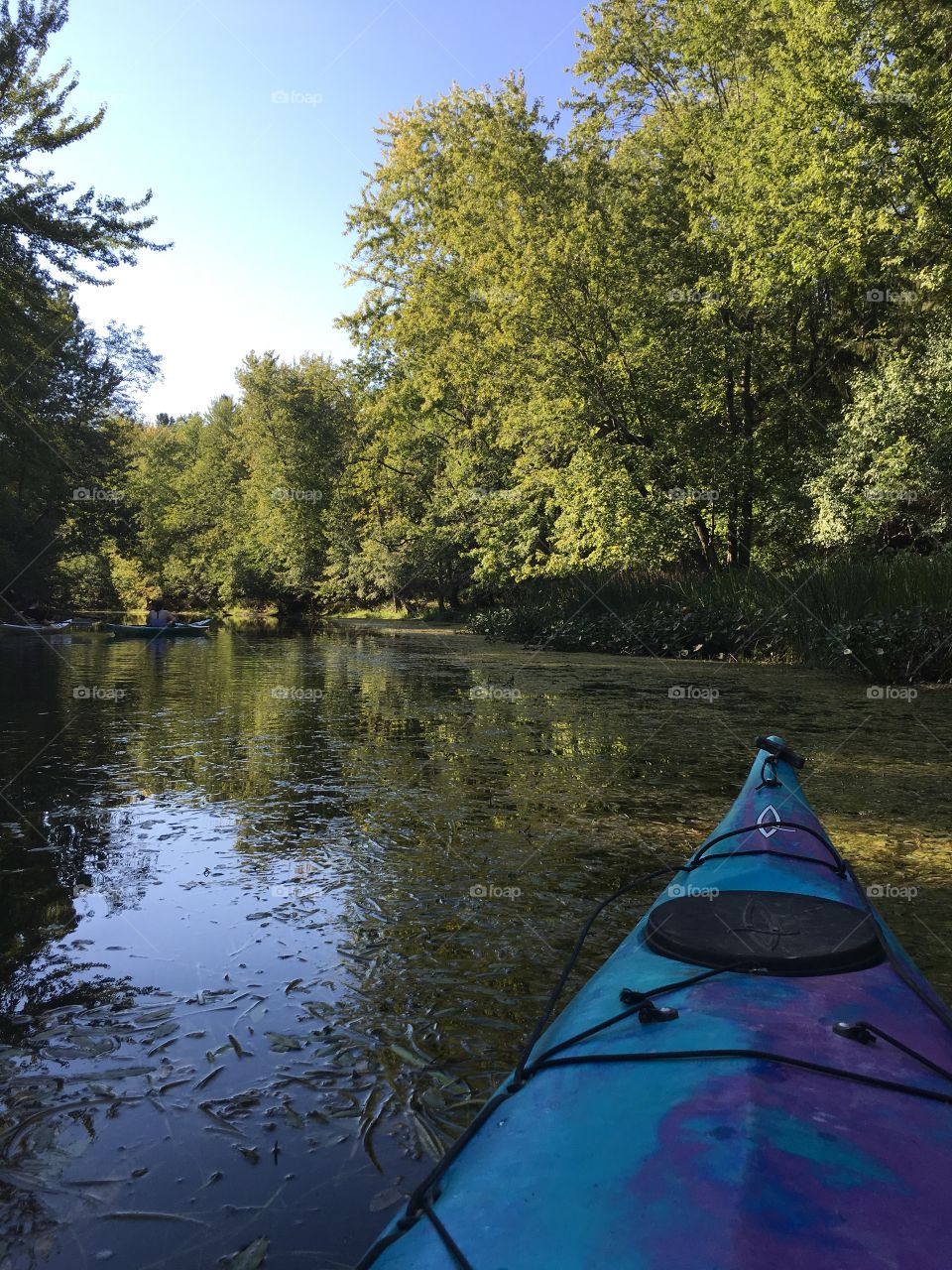 Summer kayak through forest 