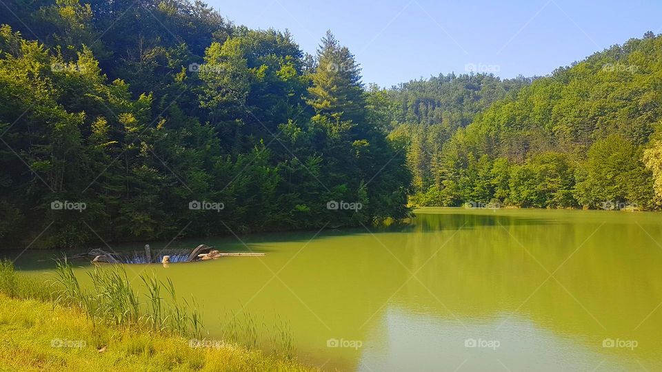 Vida Lake, Romania