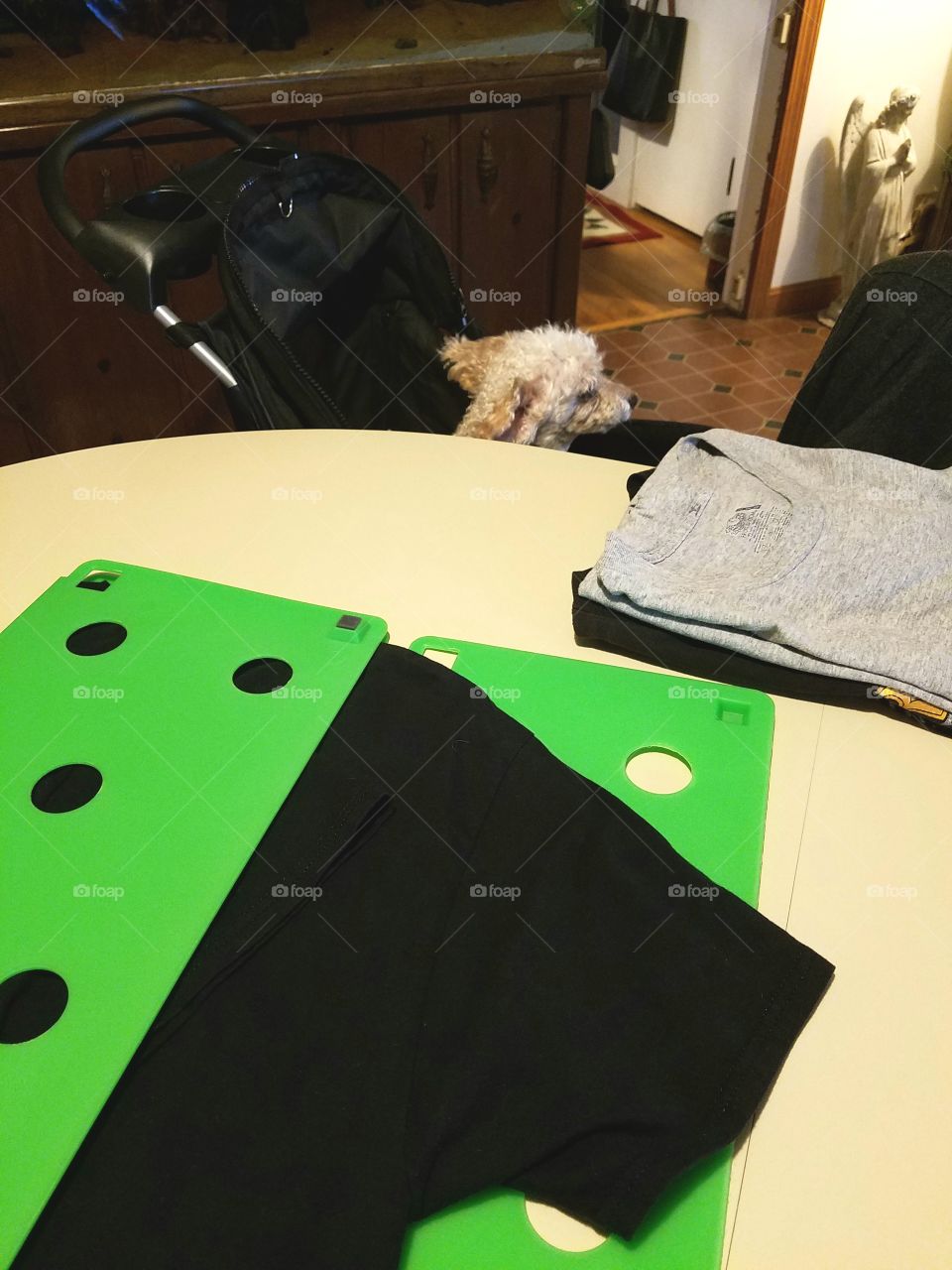 Using folding board for tee shirts, dog in carriage in background.
