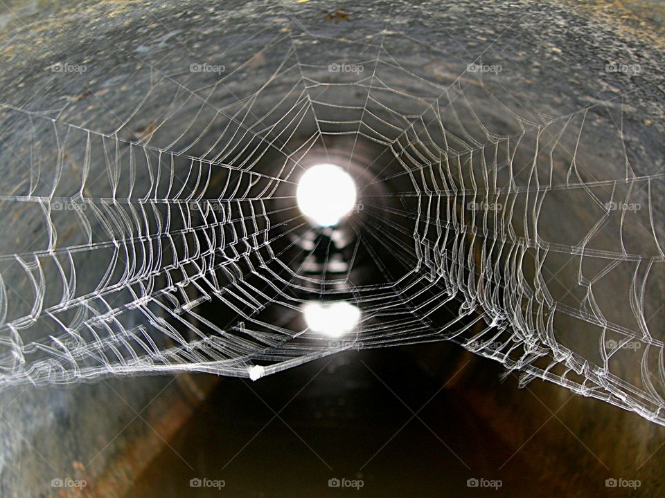 spider web in a tunnel