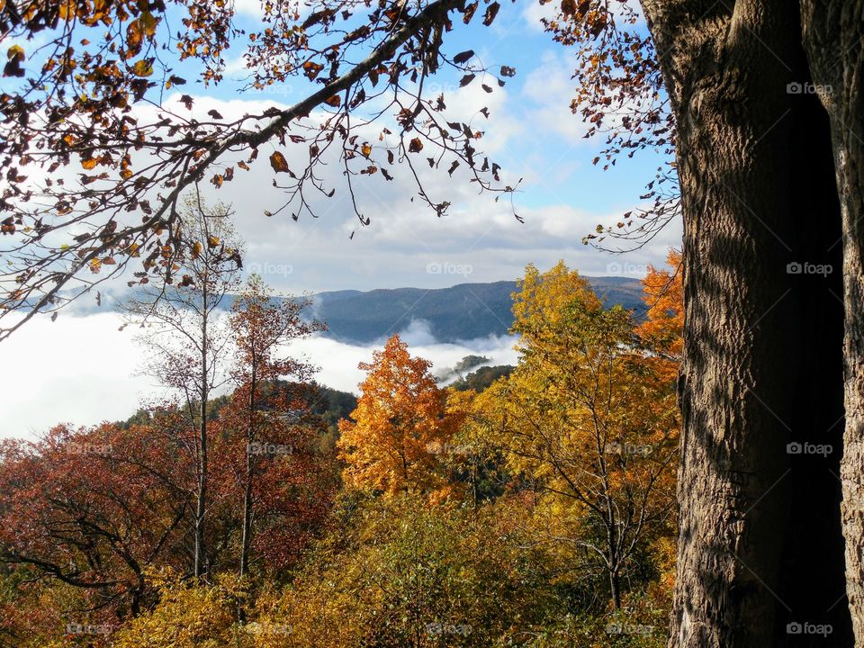 Autumn in the mountains