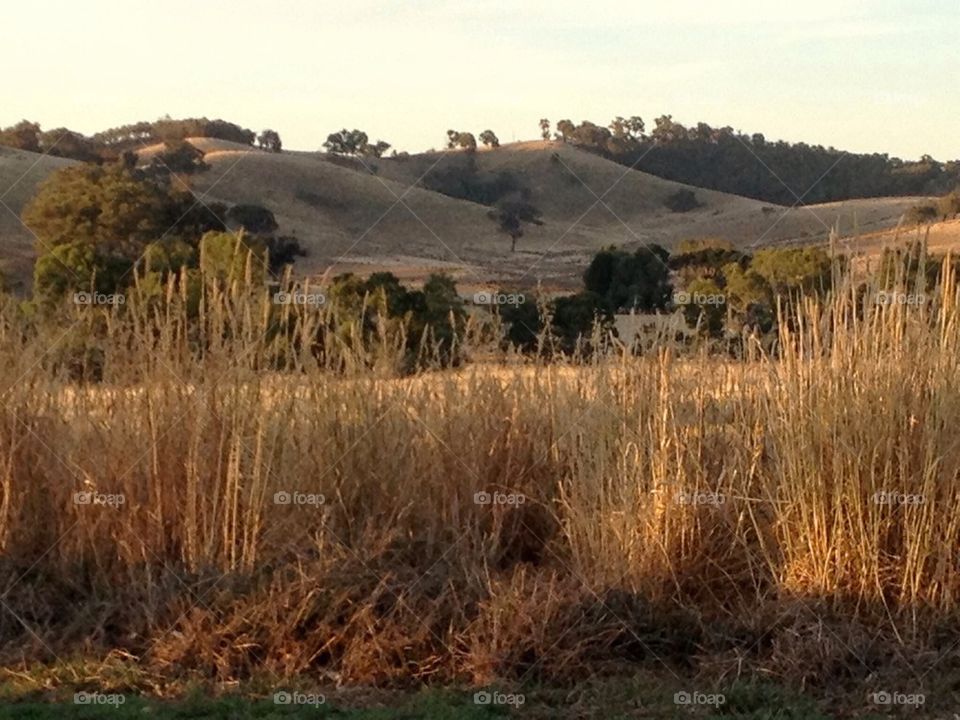 Sugarloaf Creek Victoria