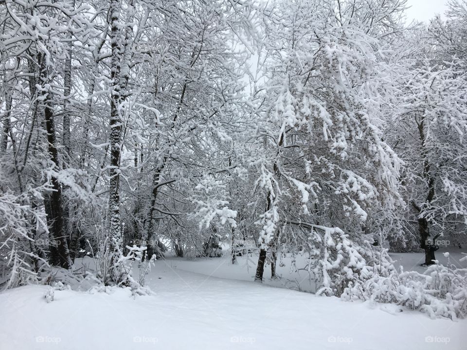 We thought winter was over...