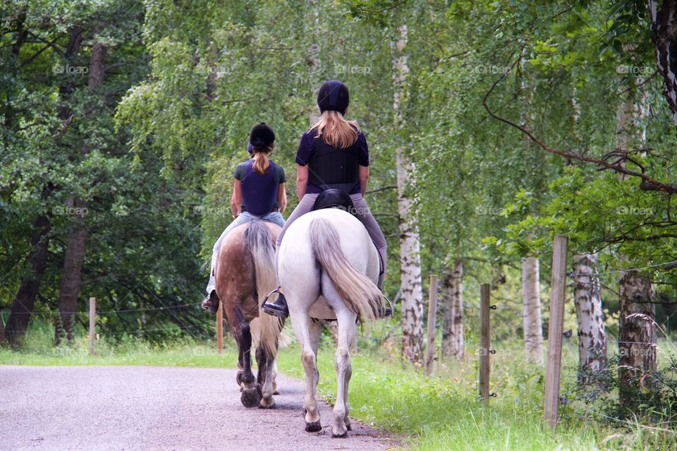 Summer with horses . Riding in the summer 