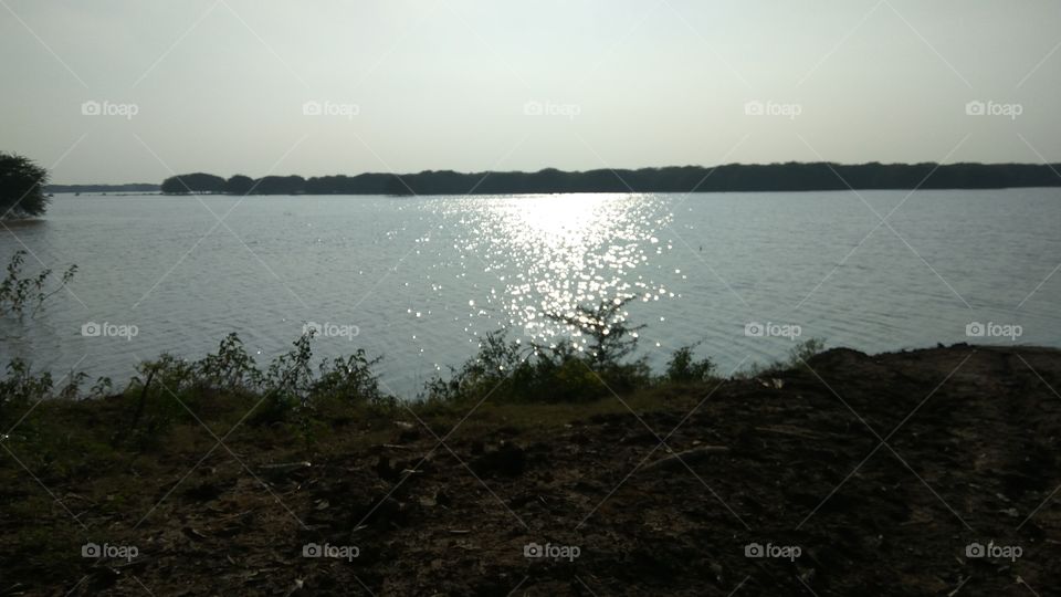 Best photo of the sun rice in water