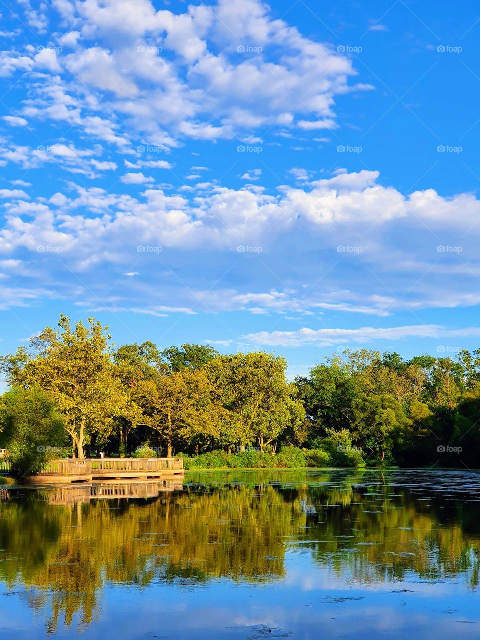 Autumn lake