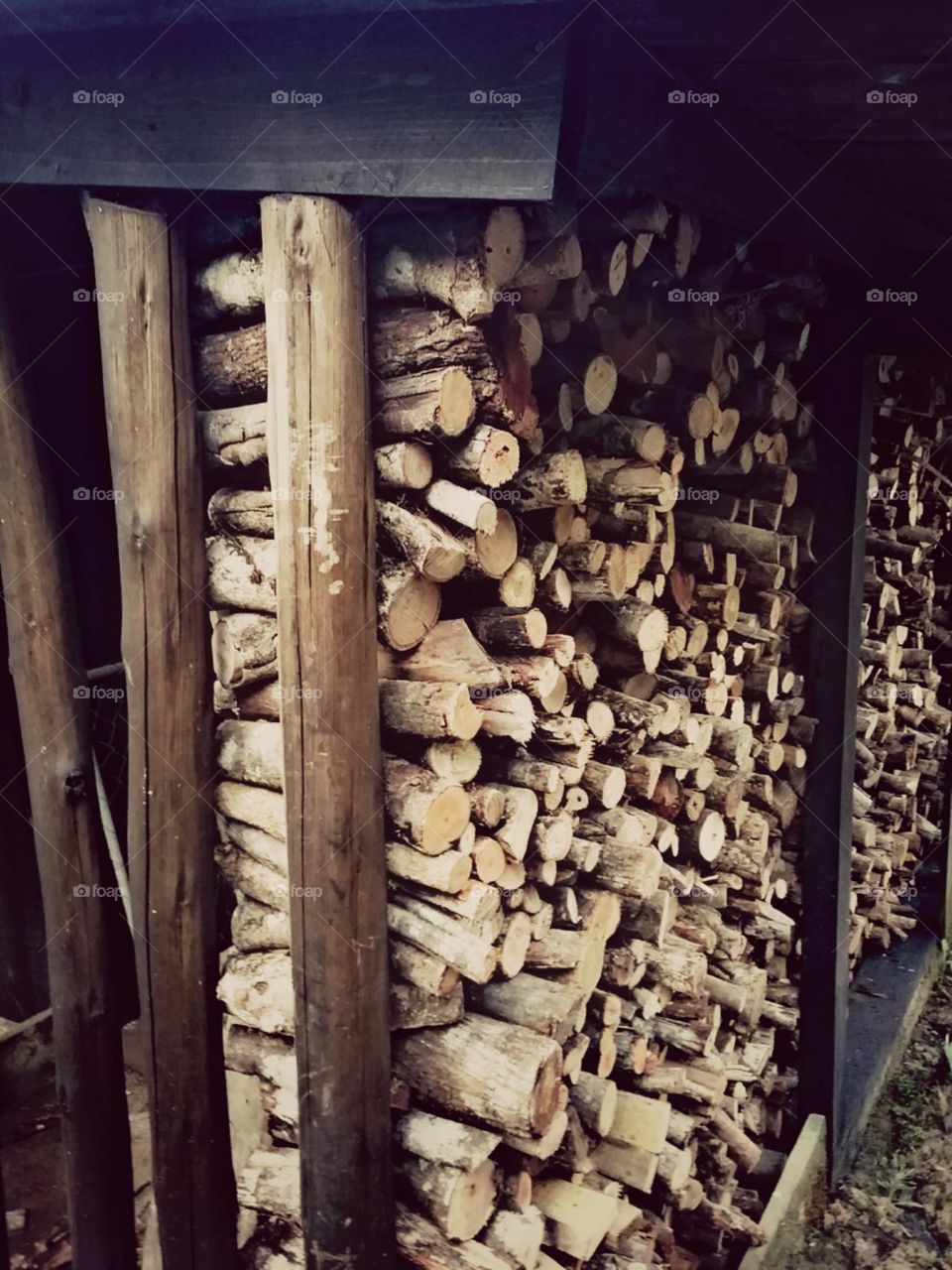 Simplicidade do dia a dia.