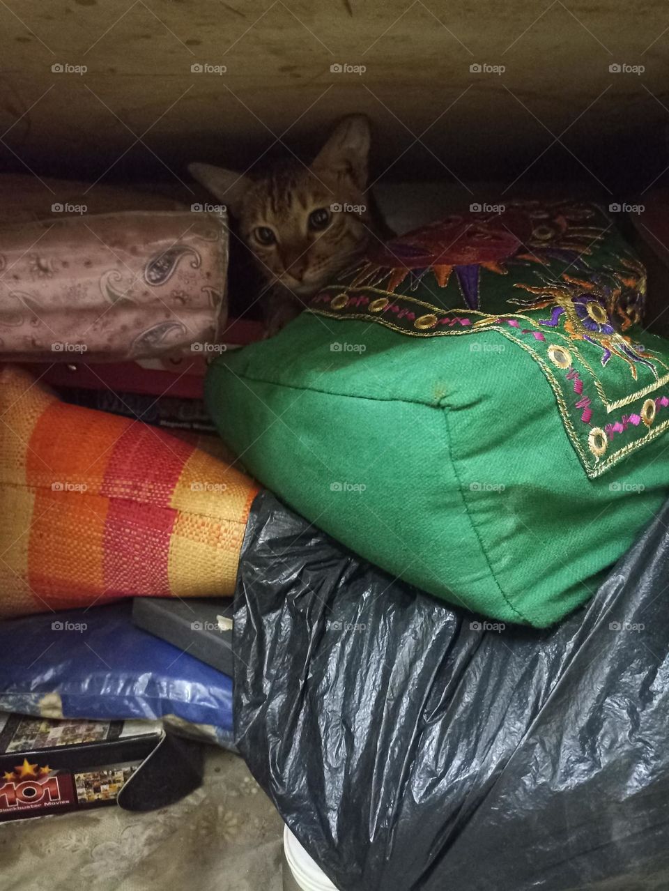 I don't want to talk to anyone now