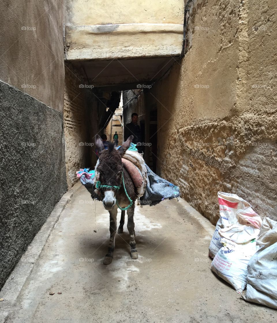 People, Man, Road, Street, Two