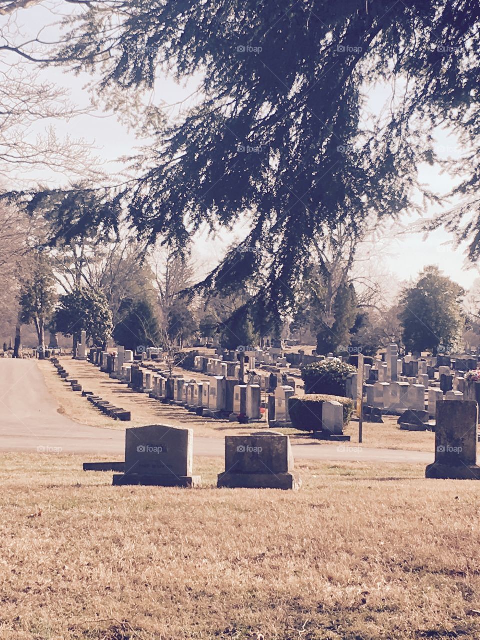Down the gravesite
