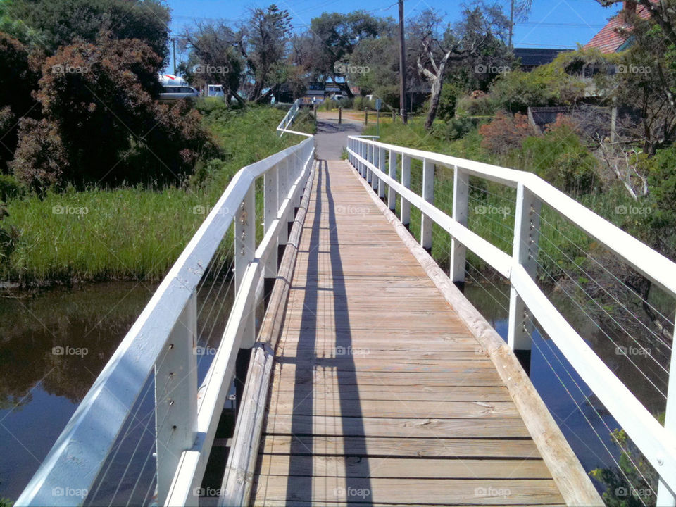 nature trees water bridge by eaglezx