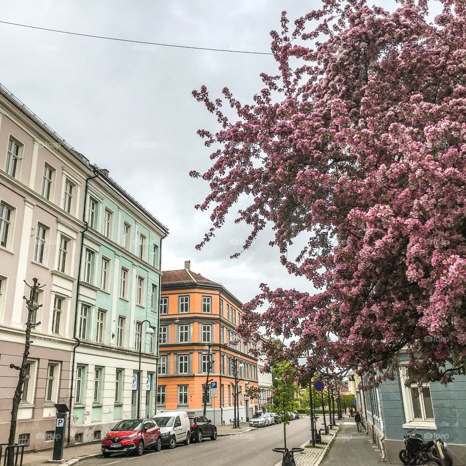 Colorful street in Oslo, Norway