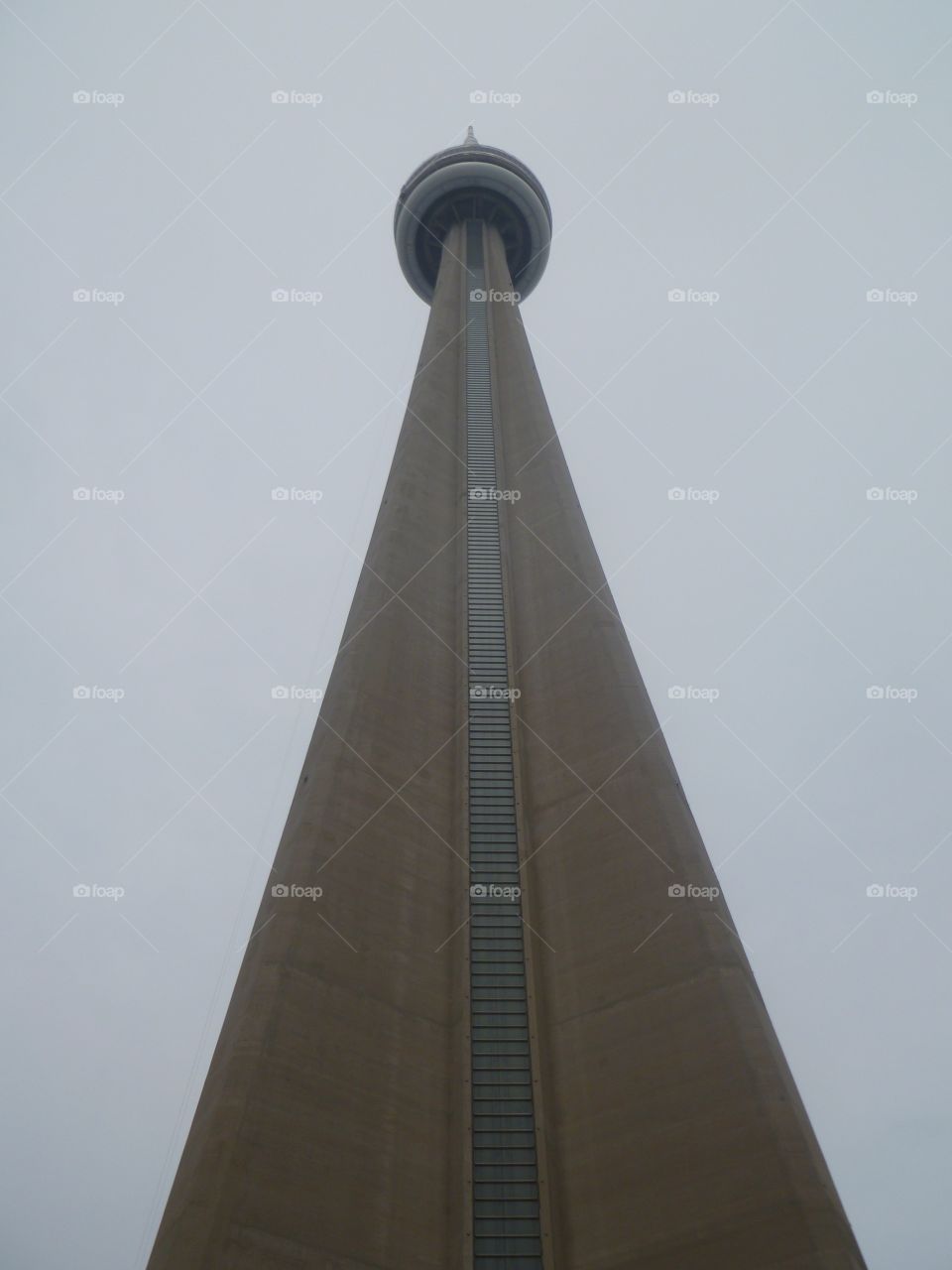 The CN tower 
