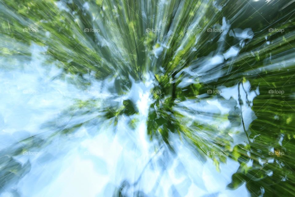 Long exposure with zoom effect under a tree with sunbeams