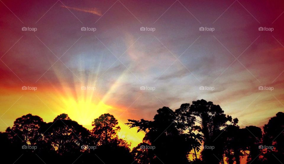 Sunset solar rays. Sunset solar rays