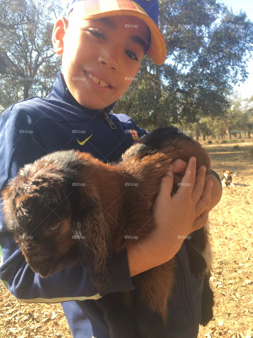 Kenitra city goat