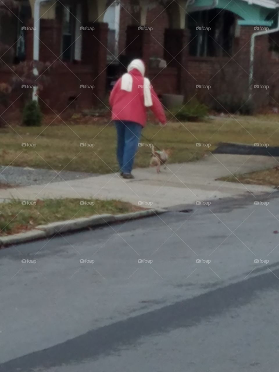 cool afternoon walk so need to put the little guys coat on