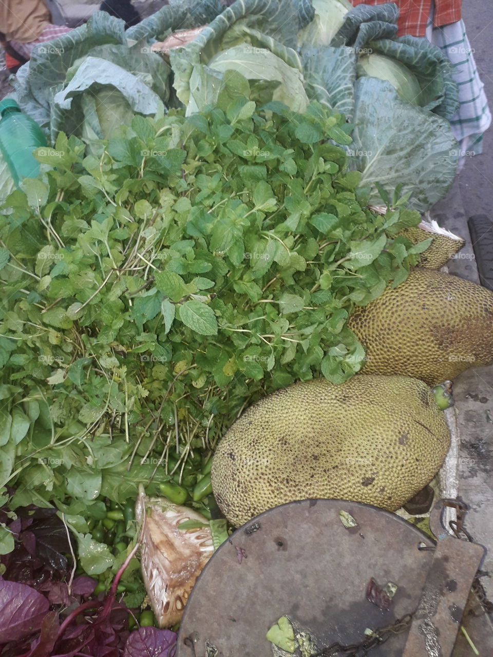 Jackfruit Vegetable.