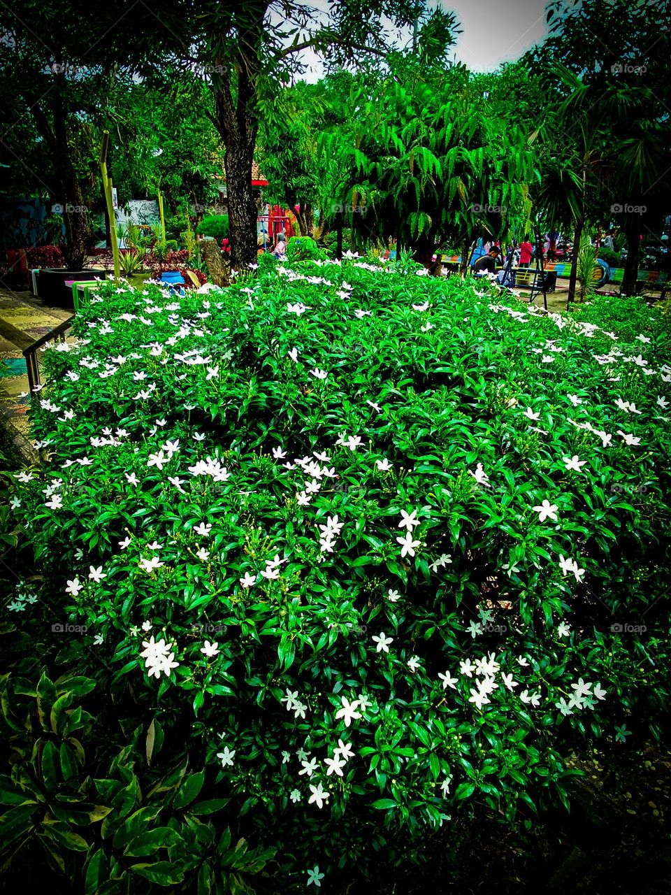 flowers that are blooming in the pot garden