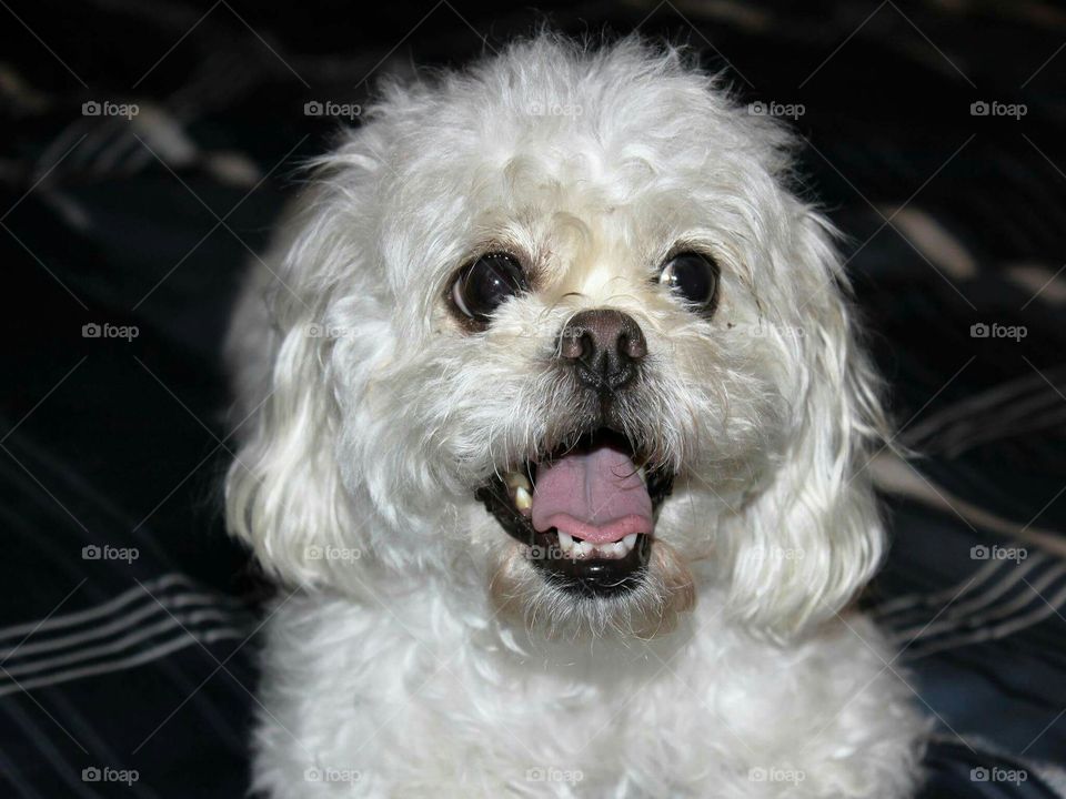 Smiles everyone smiles.